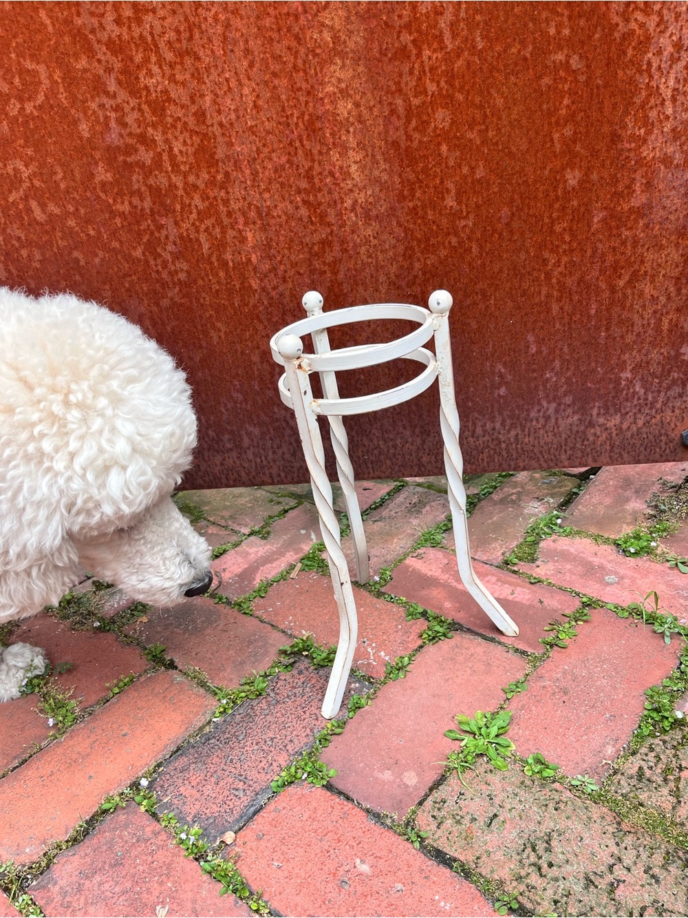 Vintage White Wrought Iron Plant Stand – Twisted Legs Shabby Chic - Picture 3 of 7